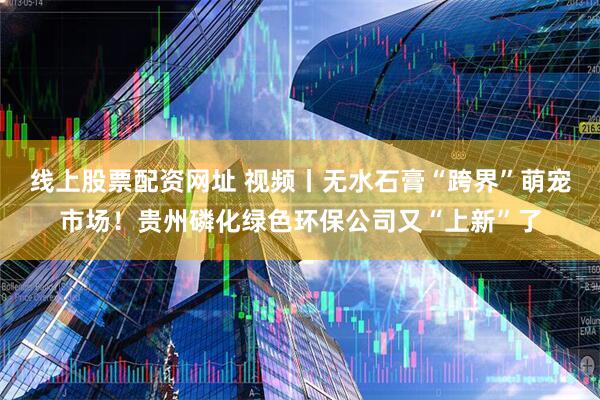 线上股票配资网址 视频丨无水石膏“跨界”萌宠市场！贵州磷化绿色环保公司又“上新”了