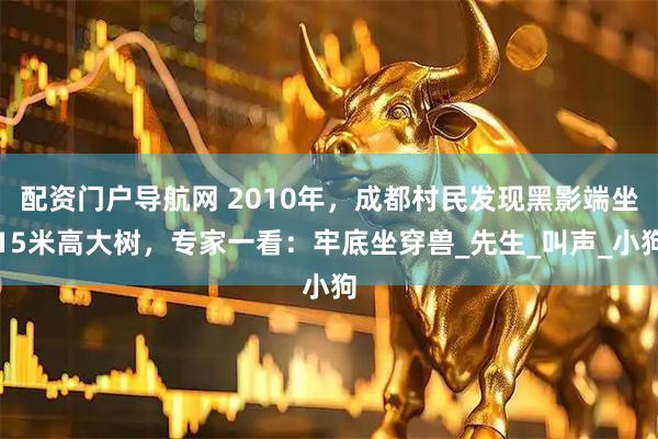 配资门户导航网 2010年，成都村民发现黑影端坐15米高大树，专家一看：牢底坐穿兽_先生_叫声_小狗