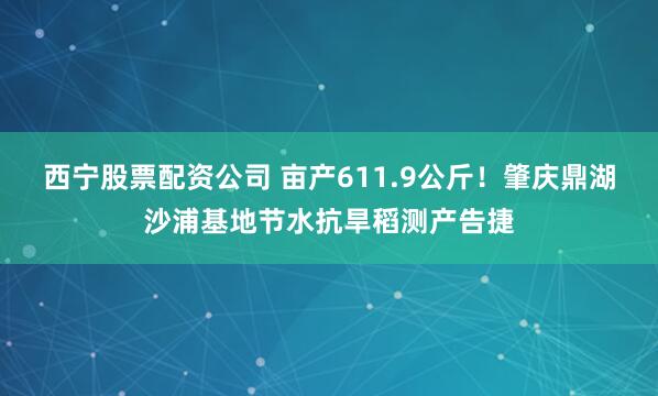 西宁股票配资公司 亩产611.9公斤！肇庆鼎湖沙浦基地节水抗旱稻测产告捷